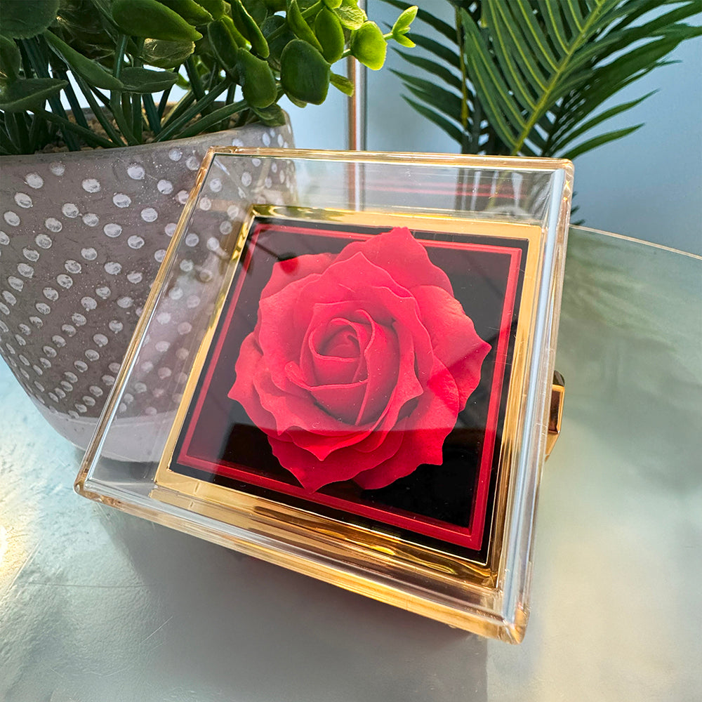 To My Beautiful Wife – Forever Love Heart Necklace with Preserved Rose Box | Romantic Gift for Anniversary, Birthday, or Christmas