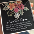 Para mi esposa Gift