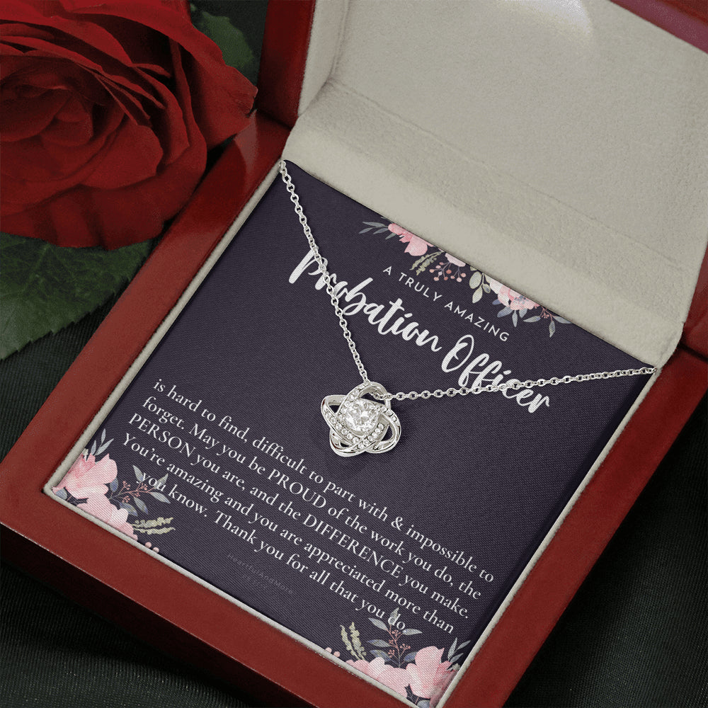 Gift For Probation Officer, Probation Officer Appreciation Gift, A Truly Amazing Probation Officer Gift